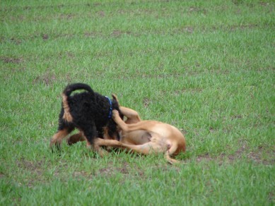 DSC01000.JPG